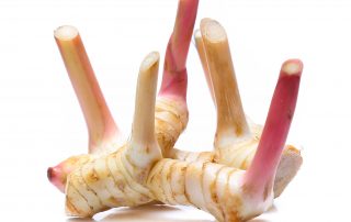 Galangal - sushi delivery Nitra