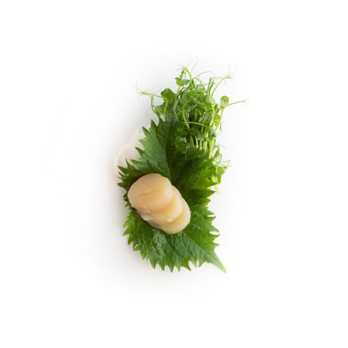 Sashimi Hotate - sushi delivery Nitra