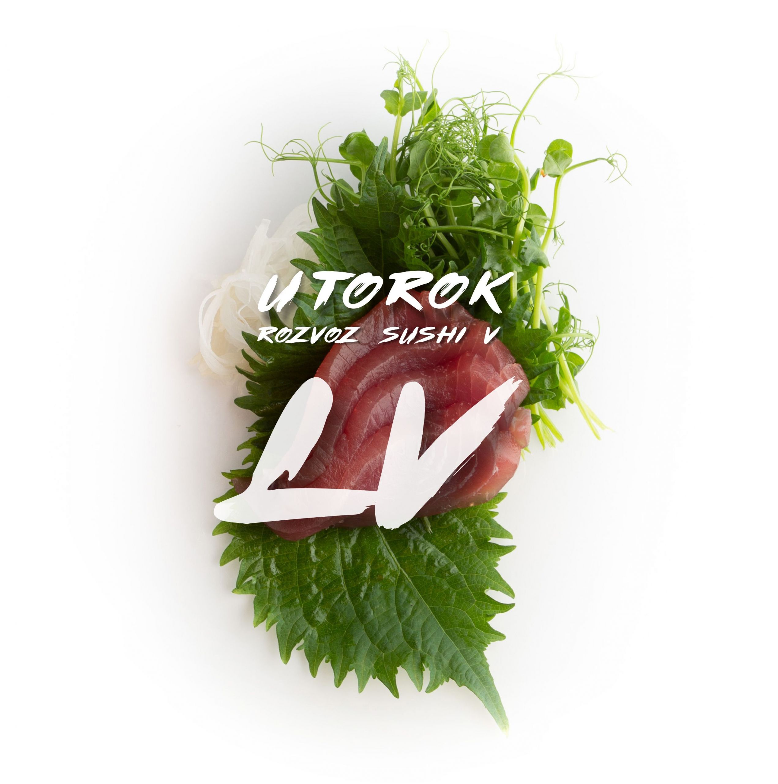tatatmi_Levice_Rozvoz